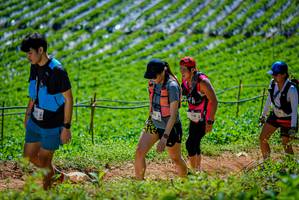 BIB: 
                            <button type="button" onclick="openModal(19164657)" class="btn btn-primary btn-sm float-right btn-popup" data-toggle="modal" data-target=".modal-high-quality">
                        <i class="fas fa-shopping-cart"></i> Add to Cart
                    </button>
                                            <button type="button" onclick="isThisMe(19164657, true)" class="btn btn-success btn-sm float-right btn-popup btn-isme hidden" data-toggle="tooltip" data-placement="bottom" title="นี่คือรูปของคุณใช่ไหม คลิกที่นี่เพื่อเอาเข้าอัลบั้ม">
                        <i class="fas fa-plus"></i> Add to album
                    </button>
                    <button type="button" onclick="isThisMe(19164657, false)" class="btn btn-warning btn-sm float-right btn-popup btn-isnotme hidden">
                        <i class="fas fa-ban"></i> Remove from album
                    </button>